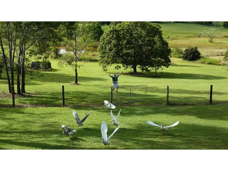 Sandy Creek QLD 4515