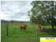 Woodford QLD 4514