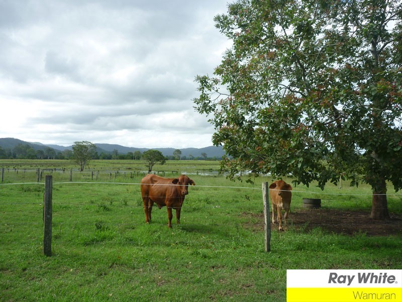 Woodford QLD 4514