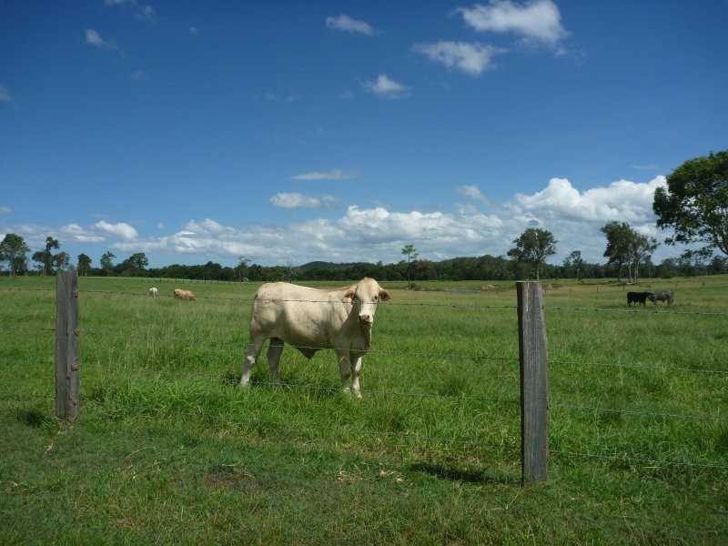 Cedarton QLD 4514