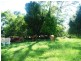 Cedarton QLD 4514