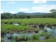 Cedarton QLD 4514