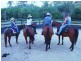 Delaneys Creek QLD 4514