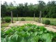 Delaneys Creek QLD 4514
