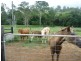 Delaneys Creek QLD 4514