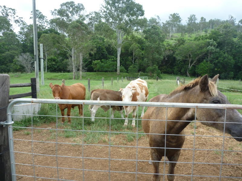 Delaneys Creek QLD 4514