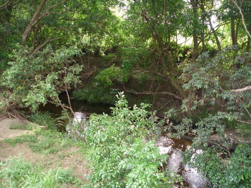 Delaneys Creek QLD 4514
