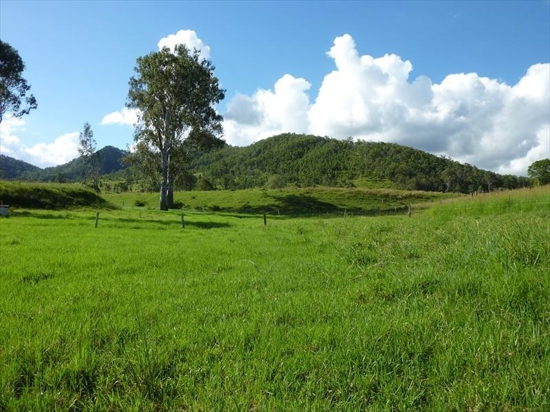 Sandy Creek QLD 4515