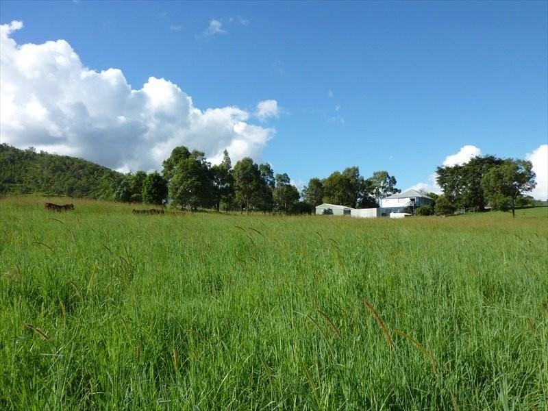 Sandy Creek QLD 4515