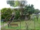 15 Ethel Street, Kilcoy QLD 4515