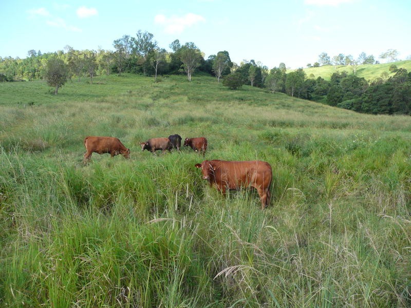 Woodford QLD 4514