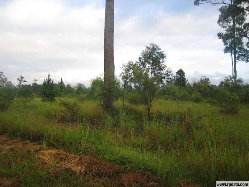 133 Windsor Street, Woodford QLD 4514