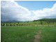 Sandy Creek QLD 4570