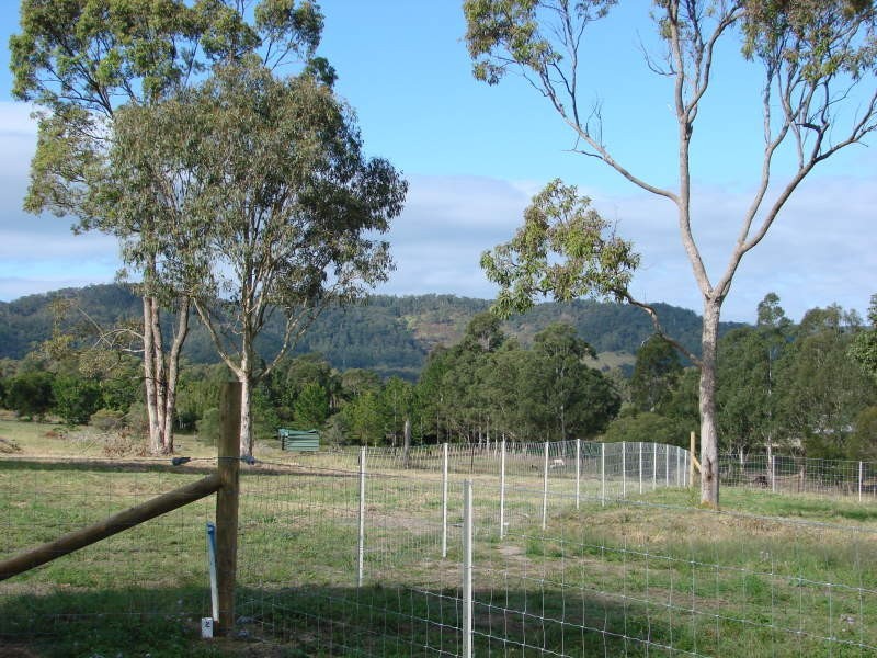 Delaneys Creek QLD 4514