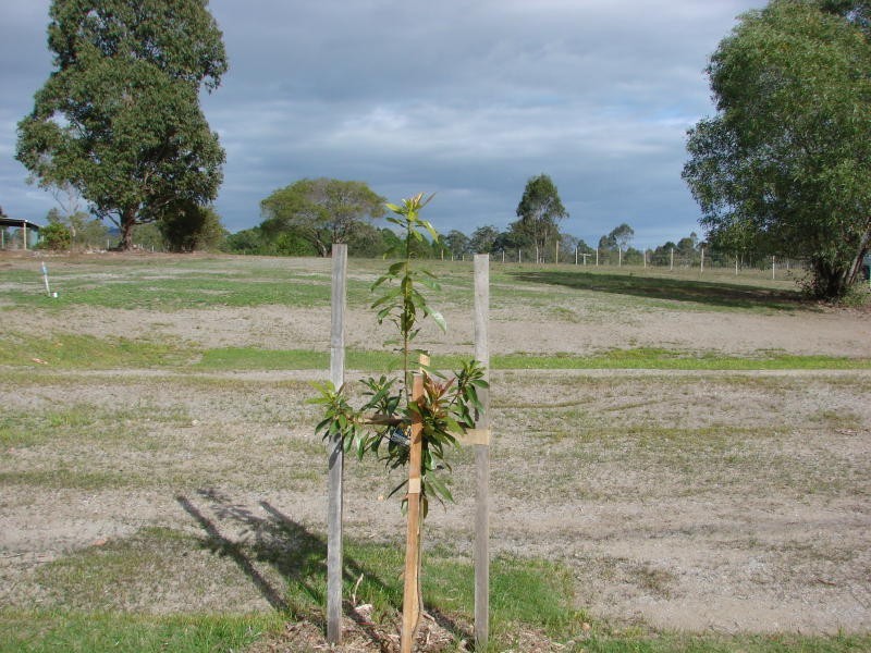 Delaneys Creek QLD 4514