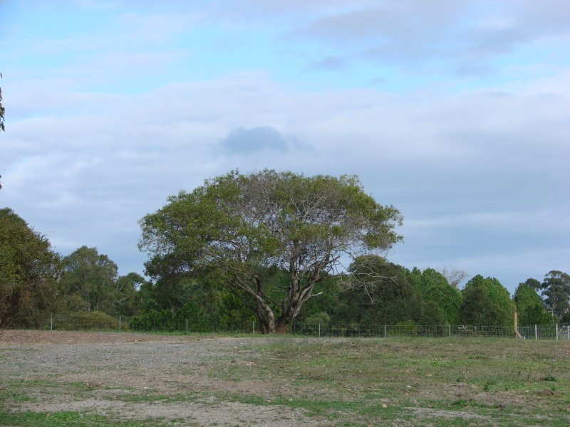 Delaneys Creek QLD 4514