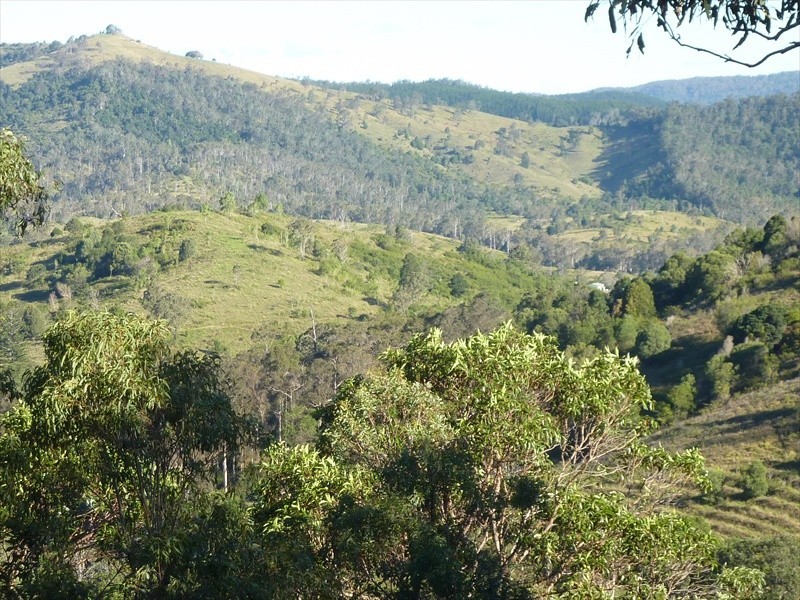 Delaneys Creek QLD 4514