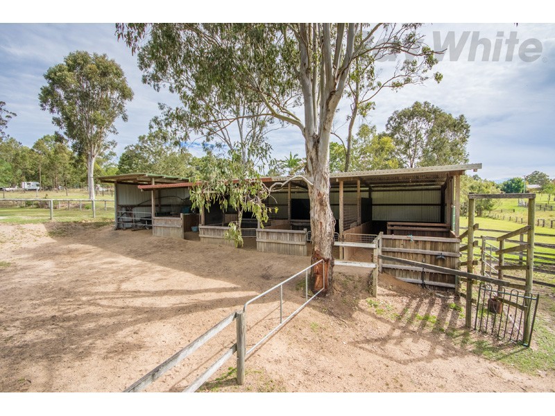 Delaneys Creek QLD 4514