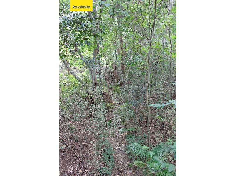 1 Ceratodus Court, Lawnton QLD 4501