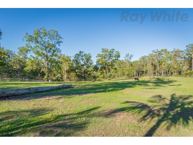 100 Jackson Road, Bellmere QLD 4510