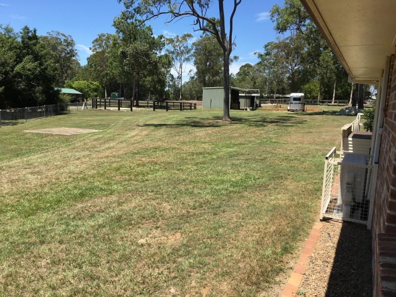 Elimbah QLD 4516