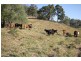 Lot 1, 487 Kropp Road, Woodford QLD 4514