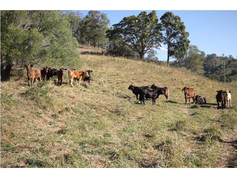 Lot 1, 487 Kropp Road, Woodford QLD 4514