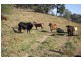 Lot 1, 487 Kropp Road, Woodford QLD 4514