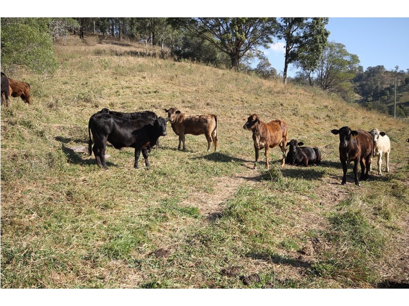 Lot 1, 487 Kropp Road, Woodford QLD 4514