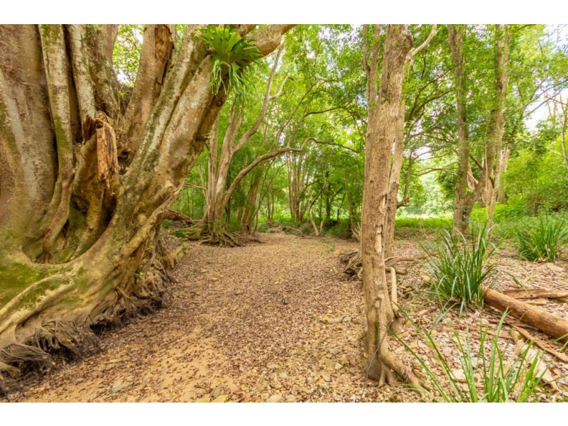 119-125 Campbells Pocket Road, Wamuran QLD 4512