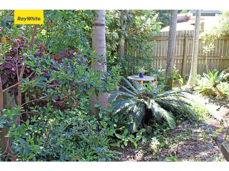 25 Pardalote Place, Bellmere QLD 4510