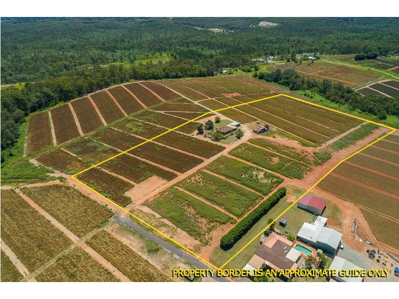 Lot 61 Central Avenue, Wamuran QLD 4512