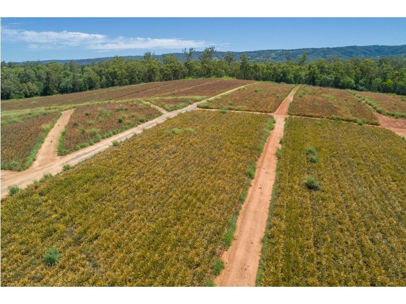 Lot 61 Central Avenue, Wamuran QLD 4512