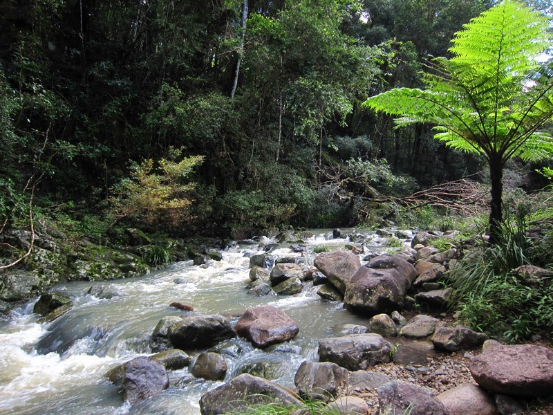 Stony Creek QLD 4514