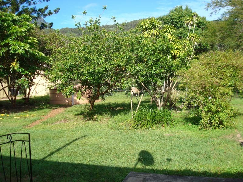 Wamuran Basin QLD 4512