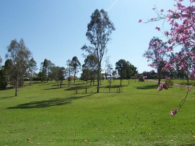 Sandy Creek QLD 4515
