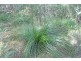 Bracalba QLD 4512