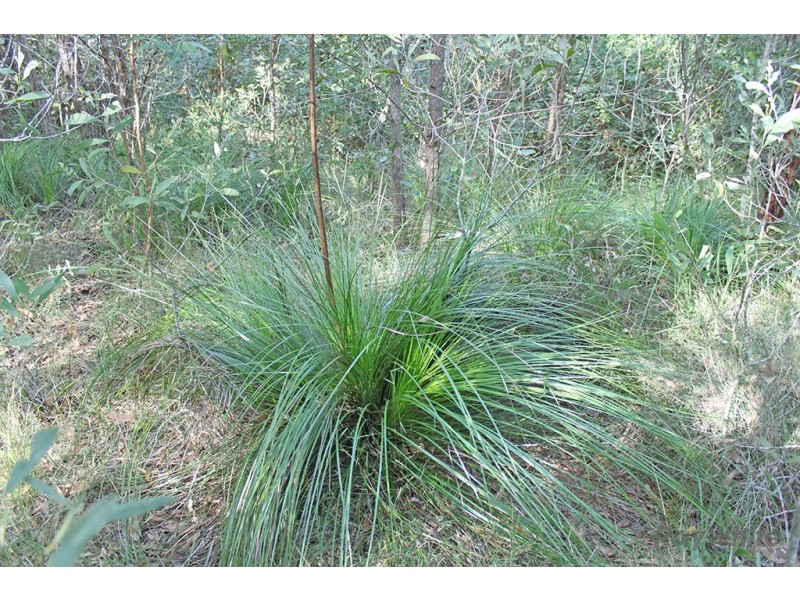 Bracalba QLD 4512