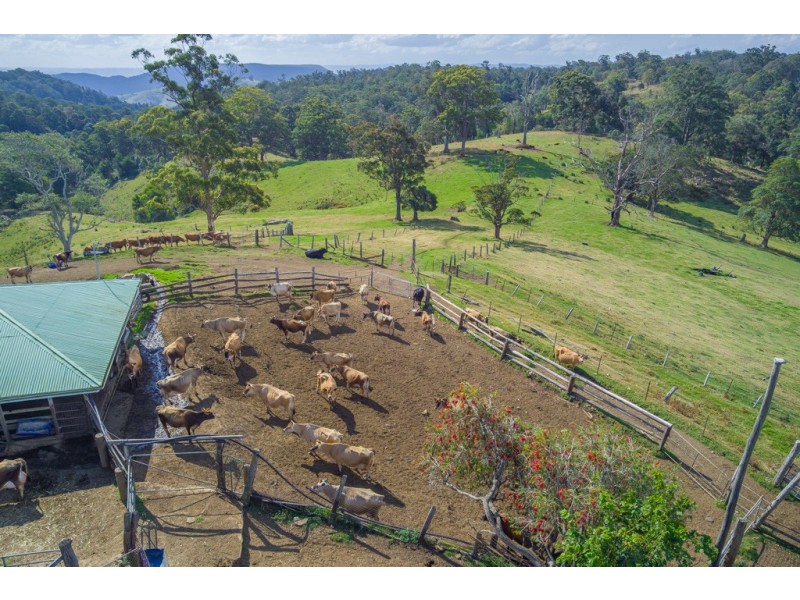 Mount Mee QLD 4521