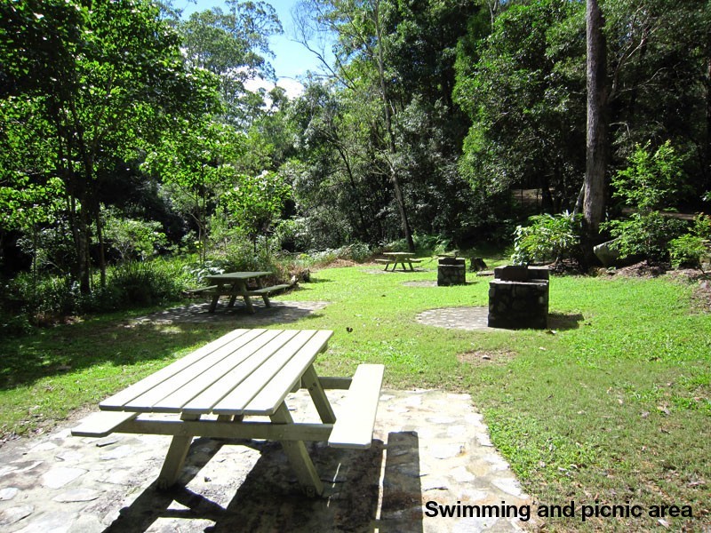 Stony Creek QLD 4514