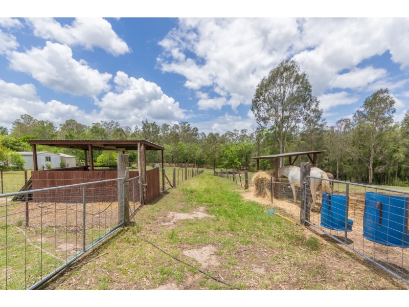 59 Canando Street, Woodford QLD 4514