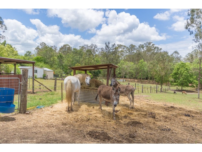 59 Canando Street, Woodford QLD 4514