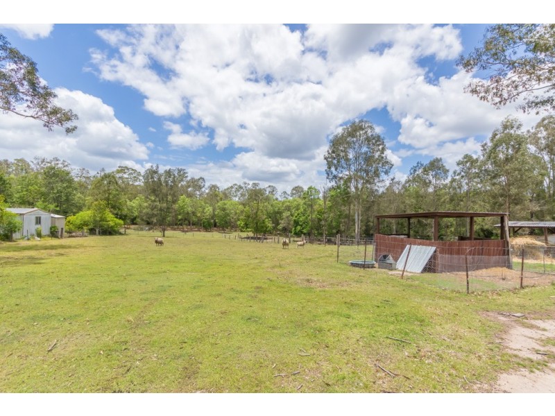 59 Canando Street, Woodford QLD 4514