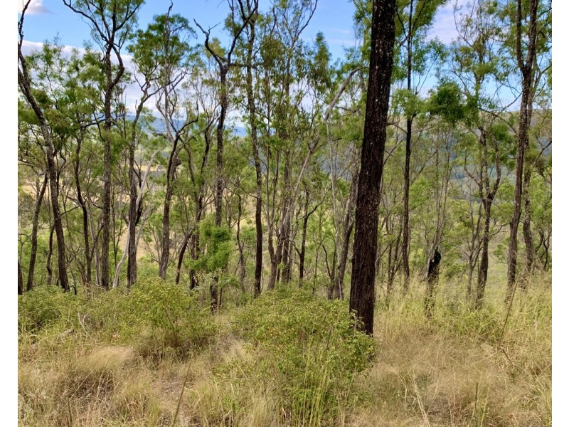 900-958 Delaney Creek Road, Mount Delaney QLD 4514