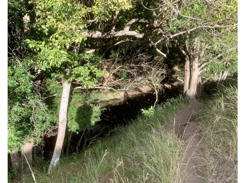 900-958 Delaney Creek Road, Mount Delaney QLD 4514