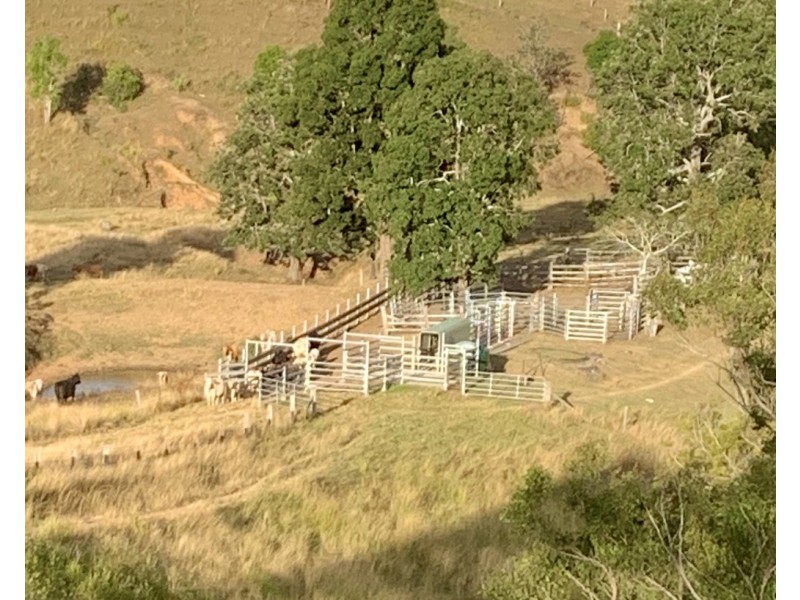 900-958 Delaney Creek Road, Mount Delaney QLD 4514