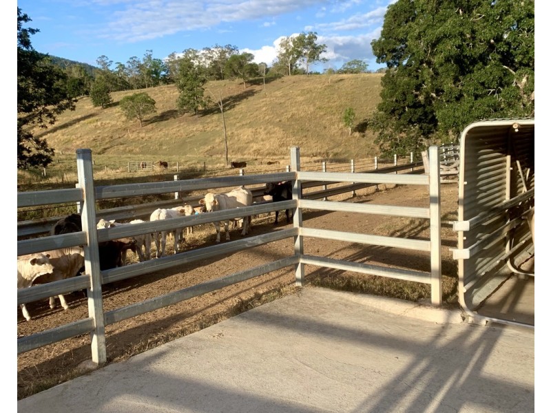 900-958 Delaney Creek Road, Mount Delaney QLD 4514