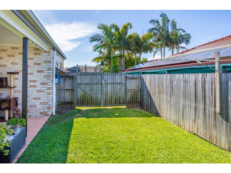 11 Jackwood Court, Morayfield QLD 4506