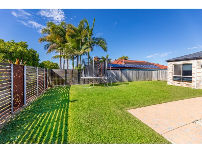 11 Jackwood Court, Morayfield QLD 4506