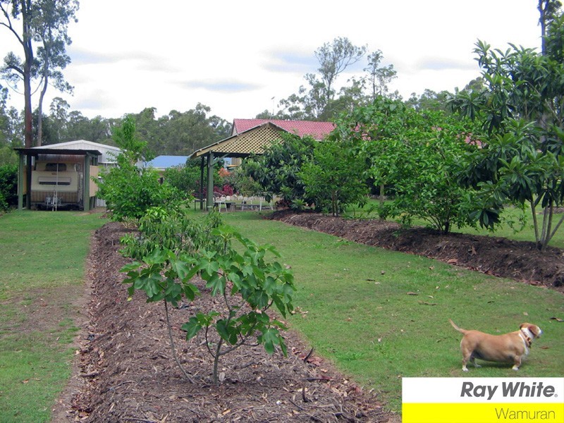 Delaneys Creek QLD 4514